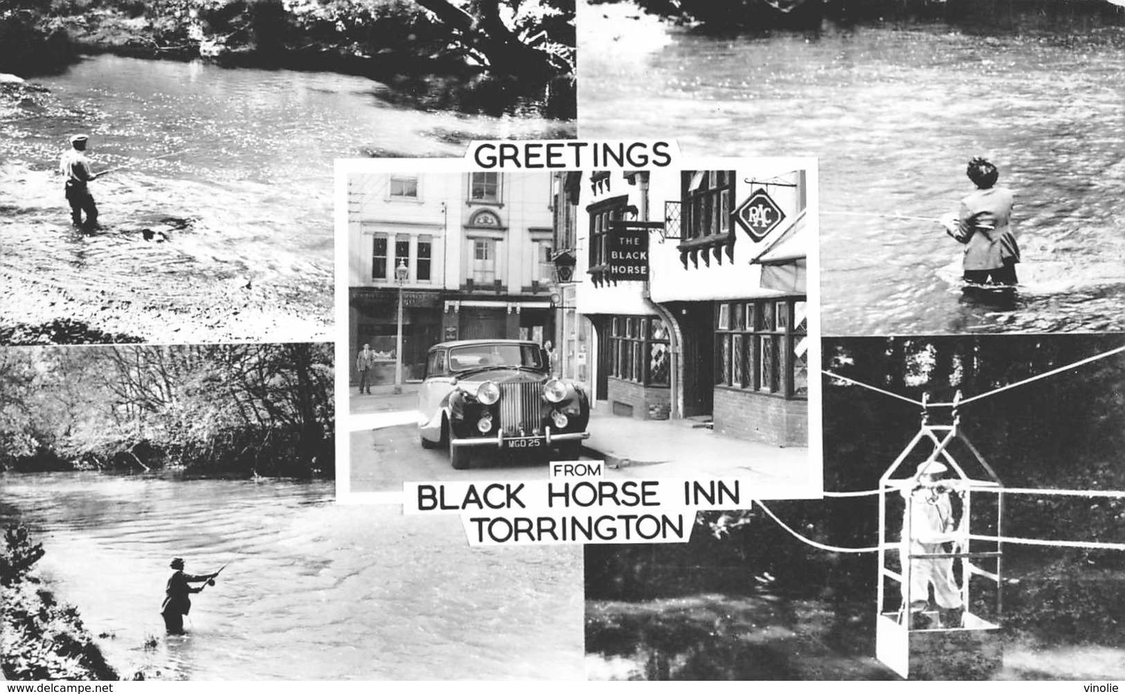 P-T2-18-5842 : GREETINGS BLACK HORSE INN TORRINGTON - Autres & Non Classés