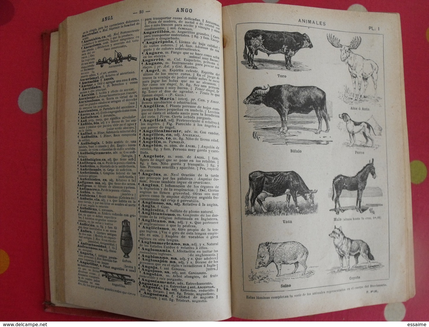 nuevo diccionario de la  lengua castellana. miguel de toro y gomez. armand colin 1926. castillan espagnol-français
