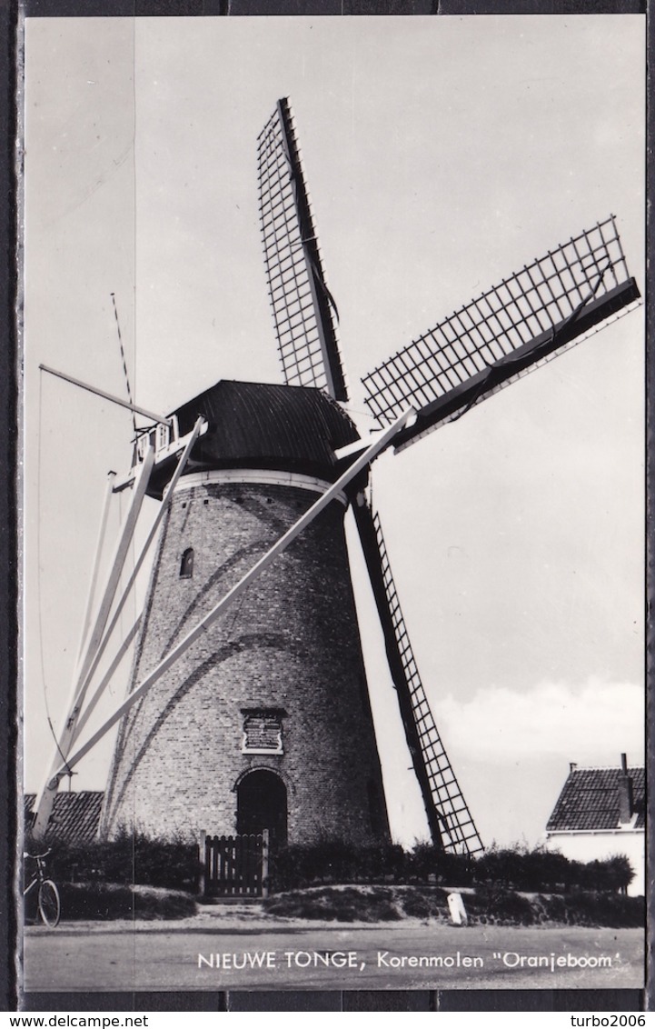 Ca. 1960 Nieuwe Tonge Korenmolen Oranjeboom Z/W Ongebruikt - Andere & Zonder Classificatie