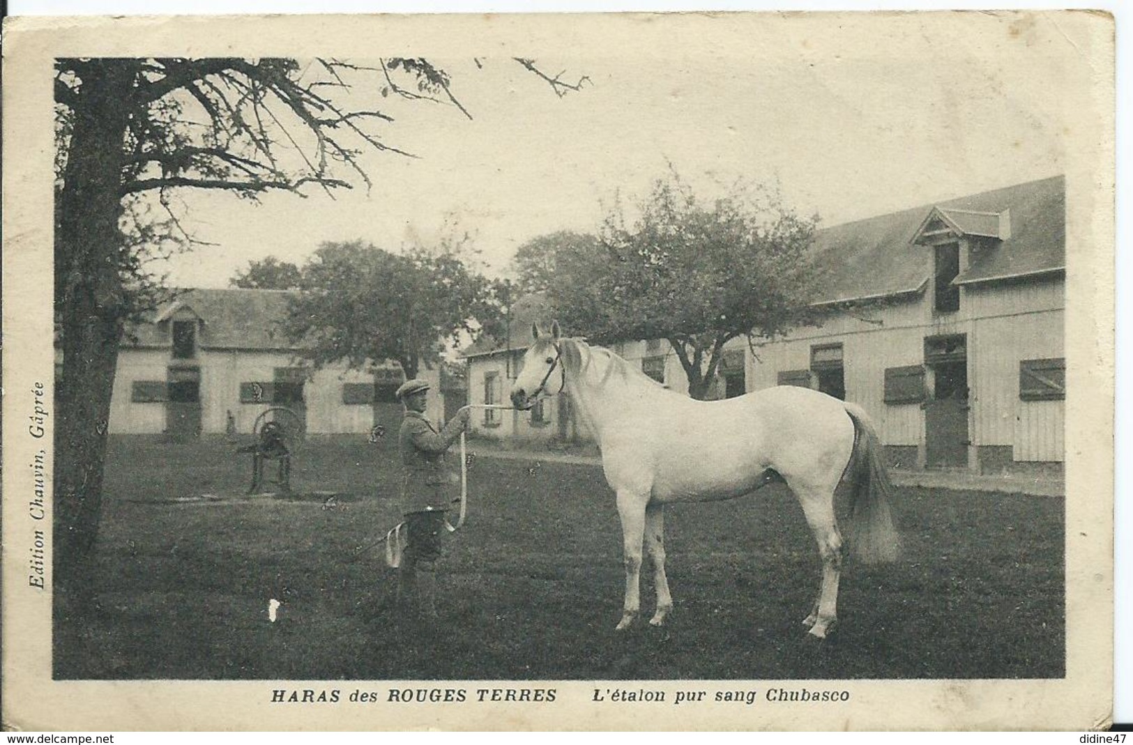 SAINT LEONARD DU PARC - Haras Des Rouges Terres -l'étalon Pur Sang Chubasco - Autres & Non Classés