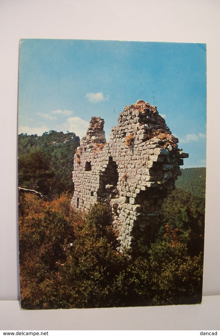 NANS-LES-PINS      -      Les  Ruines Du Vieux Village   -  ( Pas De Reflet Sur L'original ) - Nans-les-Pins