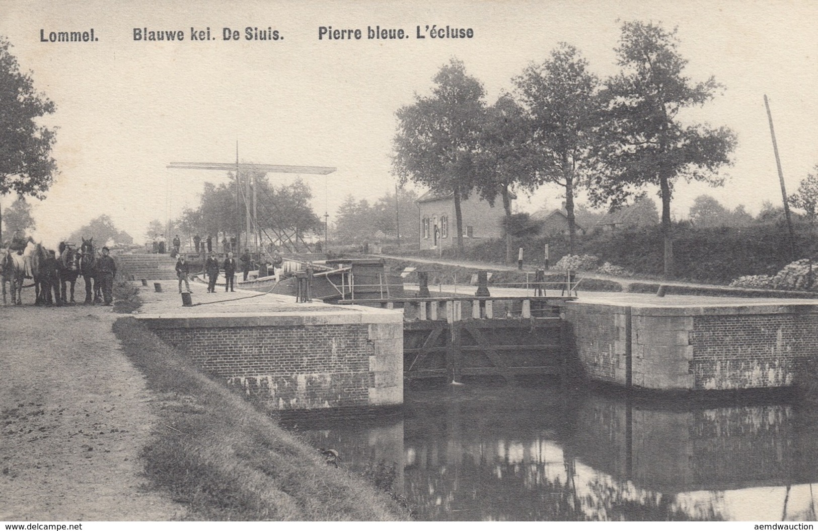 FLANDRE: Lommel, Moll, Louvain... Ensemble 31 Cartes Postales Et 3 Photos-cartes. - Monde