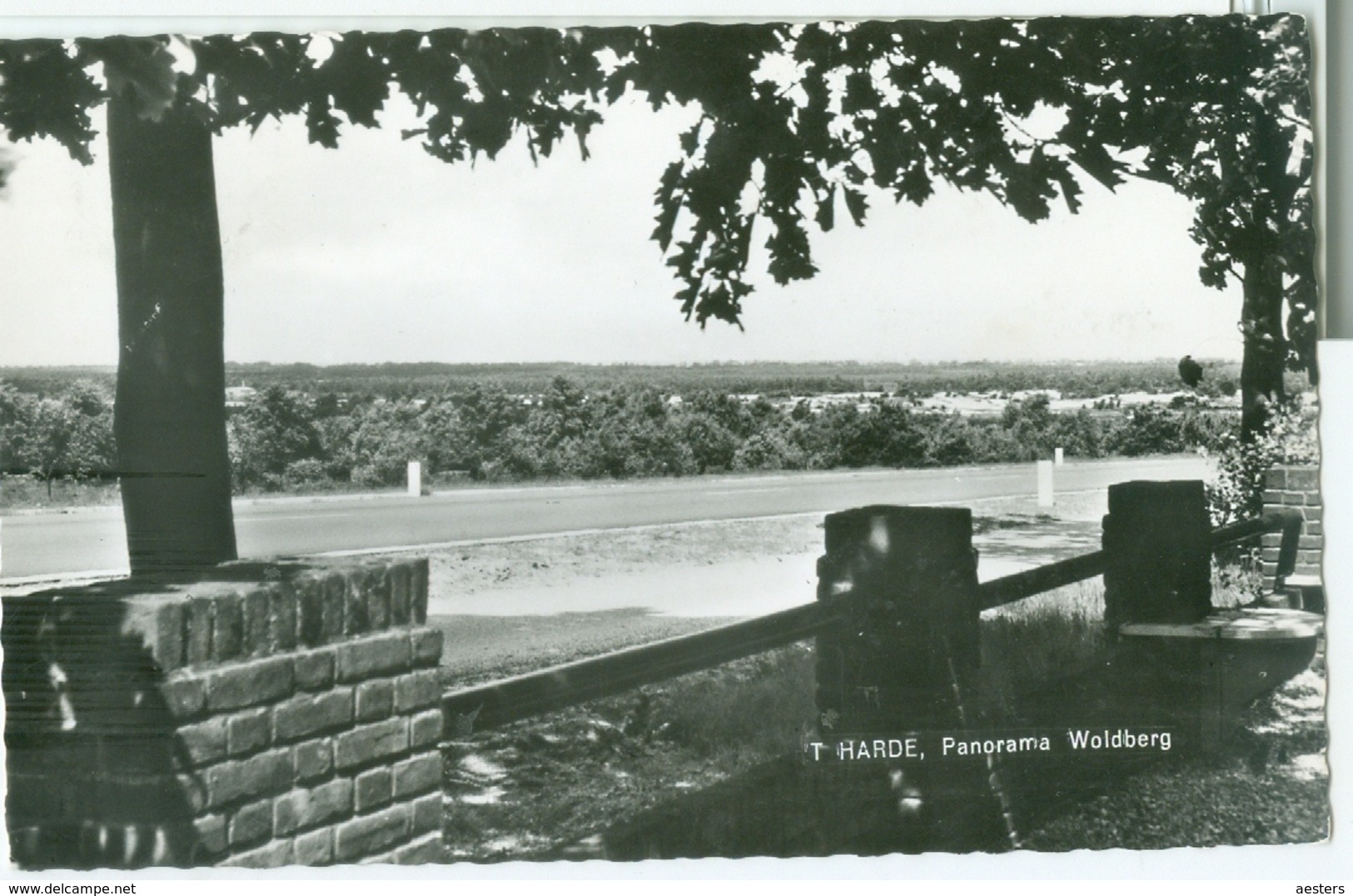 't Harde 1964; Panorama Woldberg - Gelopen. (J. V. D. Berg - 't Harde) - Autres & Non Classés