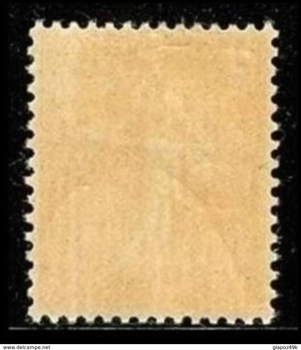 FRANCIA - 1924 / 26  Seminatrice  N. 203 Nuovo* - Cat. 20  € -  N. 803 - 1903-60 Semeuse Lignée