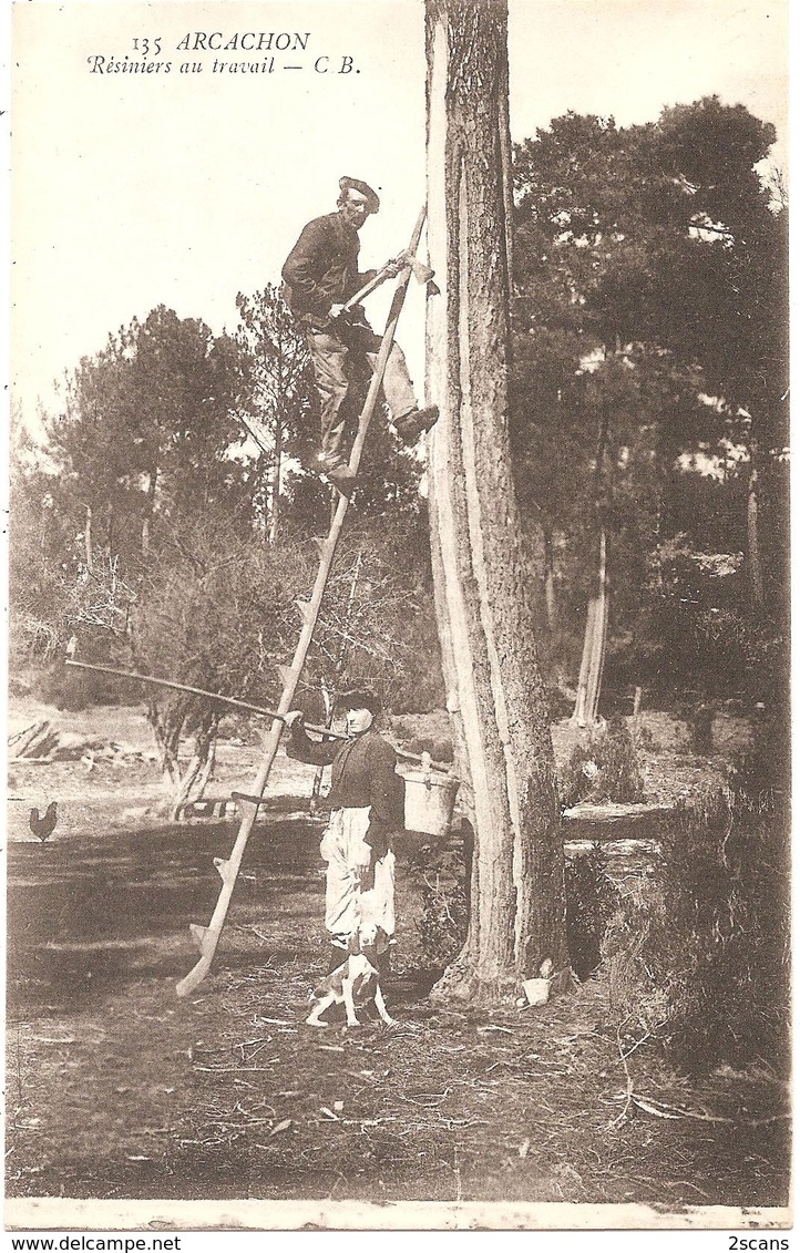 Dépt 33 - ARCACHON - Résiniers Au Travail - C. B. N° 135 - Arcachon