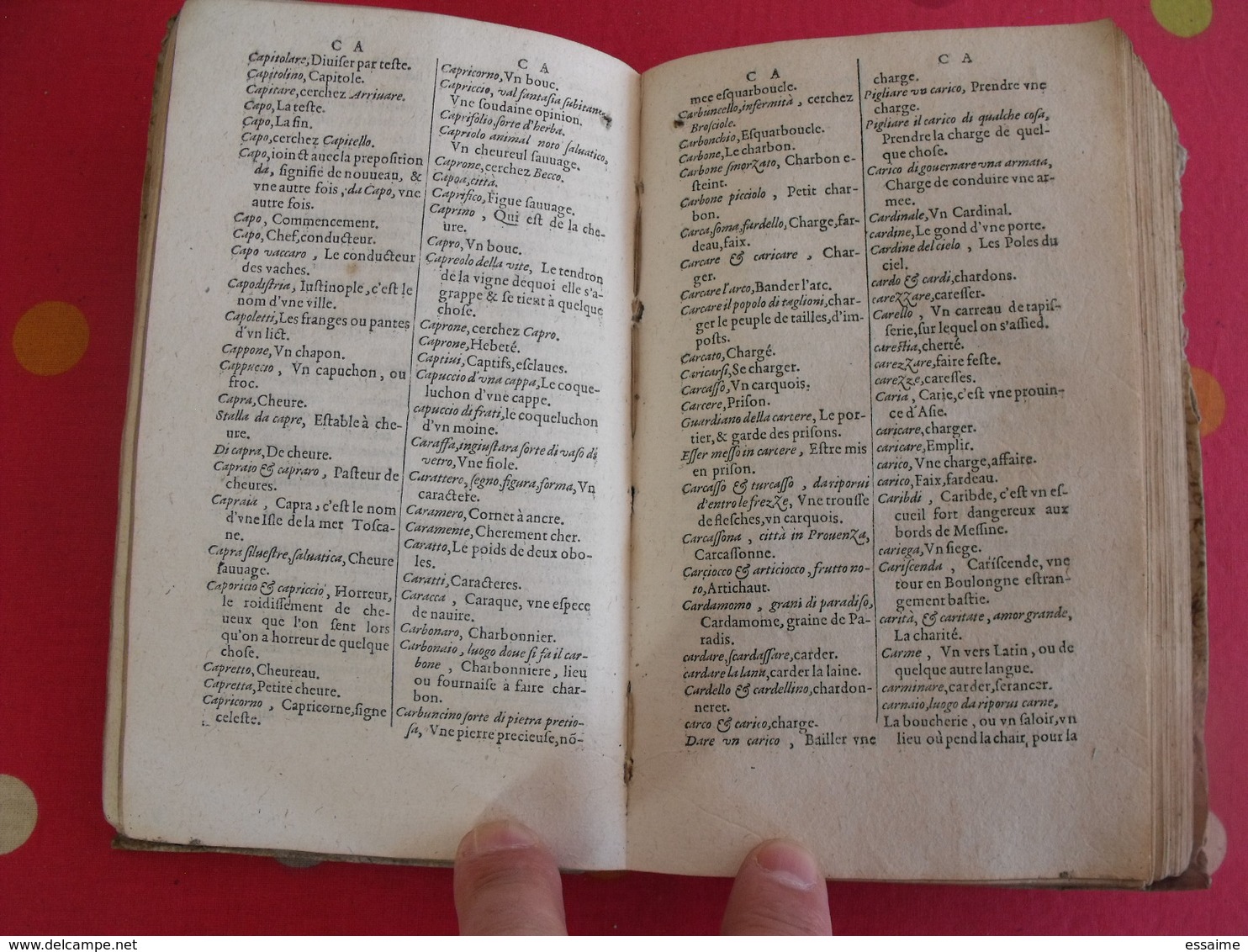 Dictionnaire Dittionario Italiano E Francese. Pietro Canale. Stampati In Parigi. 1603 - Jusque 1700