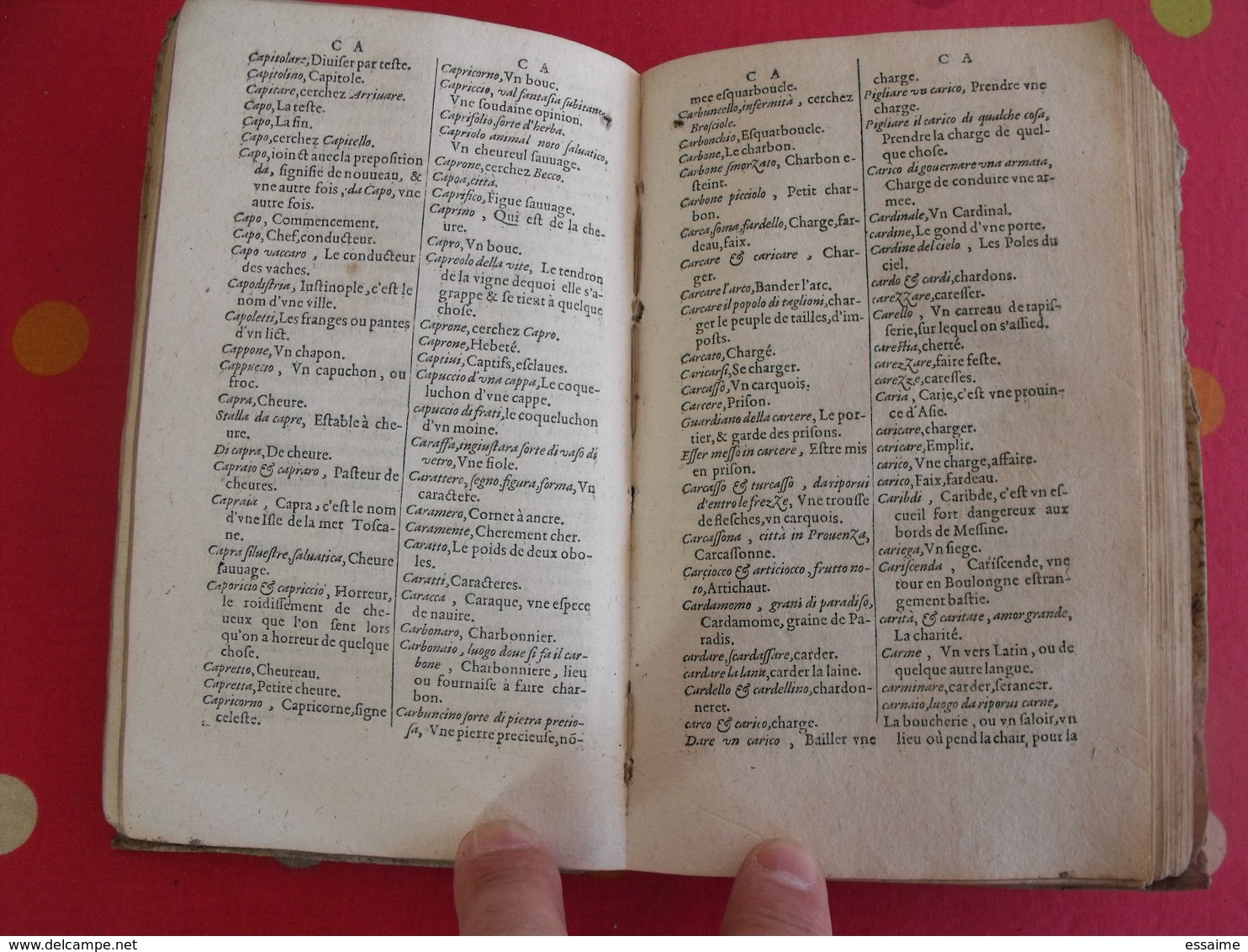Dictionnaire Dittionario Italiano E Francese. Pietro Canale. Stampati In Parigi. 1603 - Ante 18imo Secolo