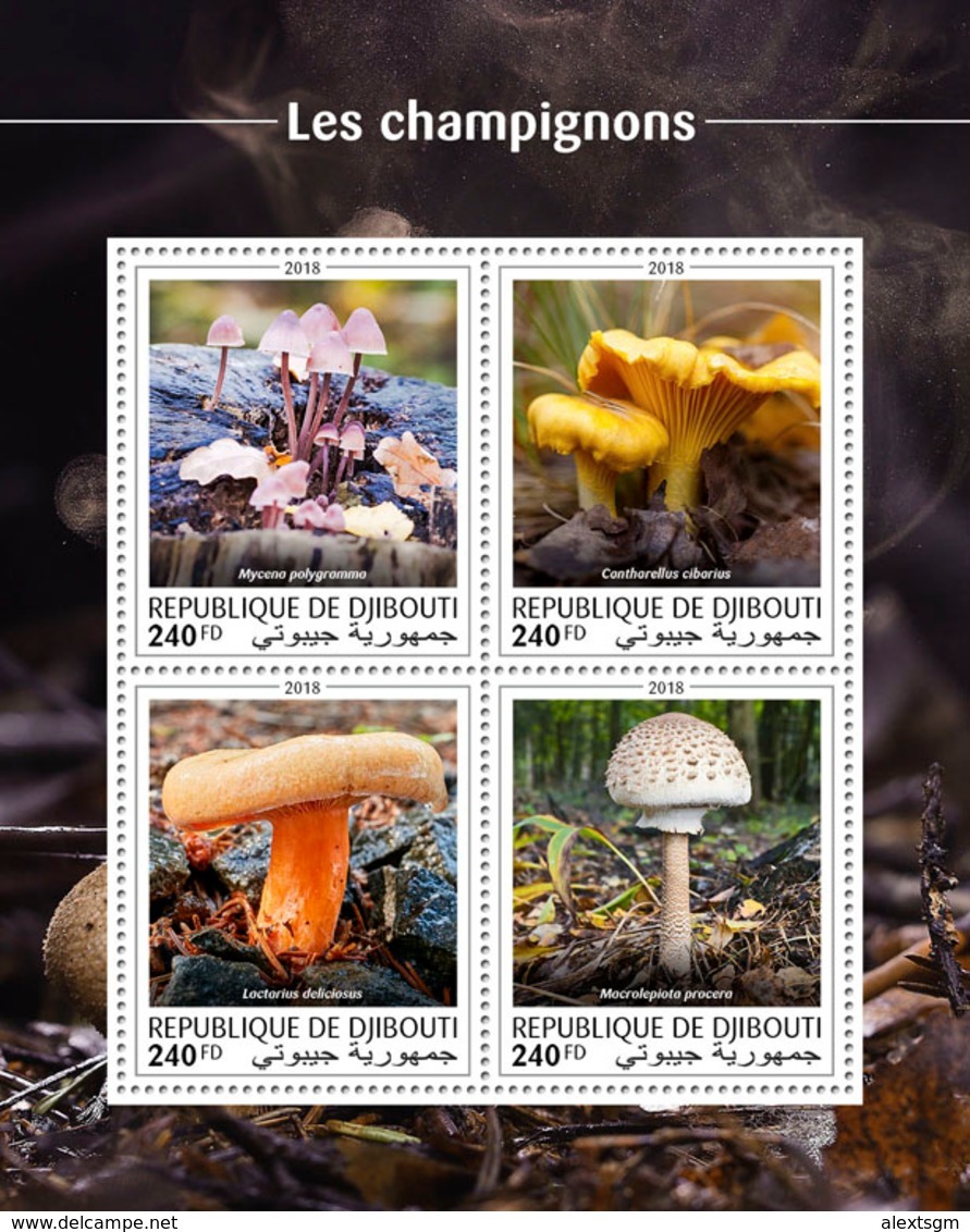 DJIBOUTI 2018 - Mushrooms. Official Issue - Funghi