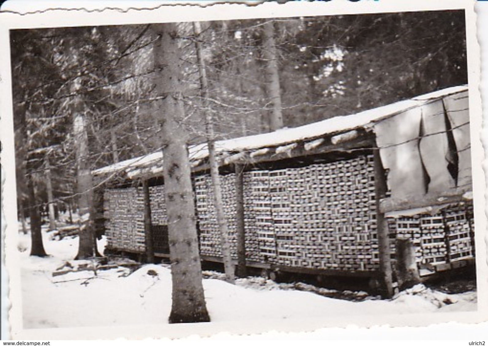 Foto Munitionslager Im Wald Im Winter -  2. WK - 8*5,5cm (36770) - Oorlog, Militair