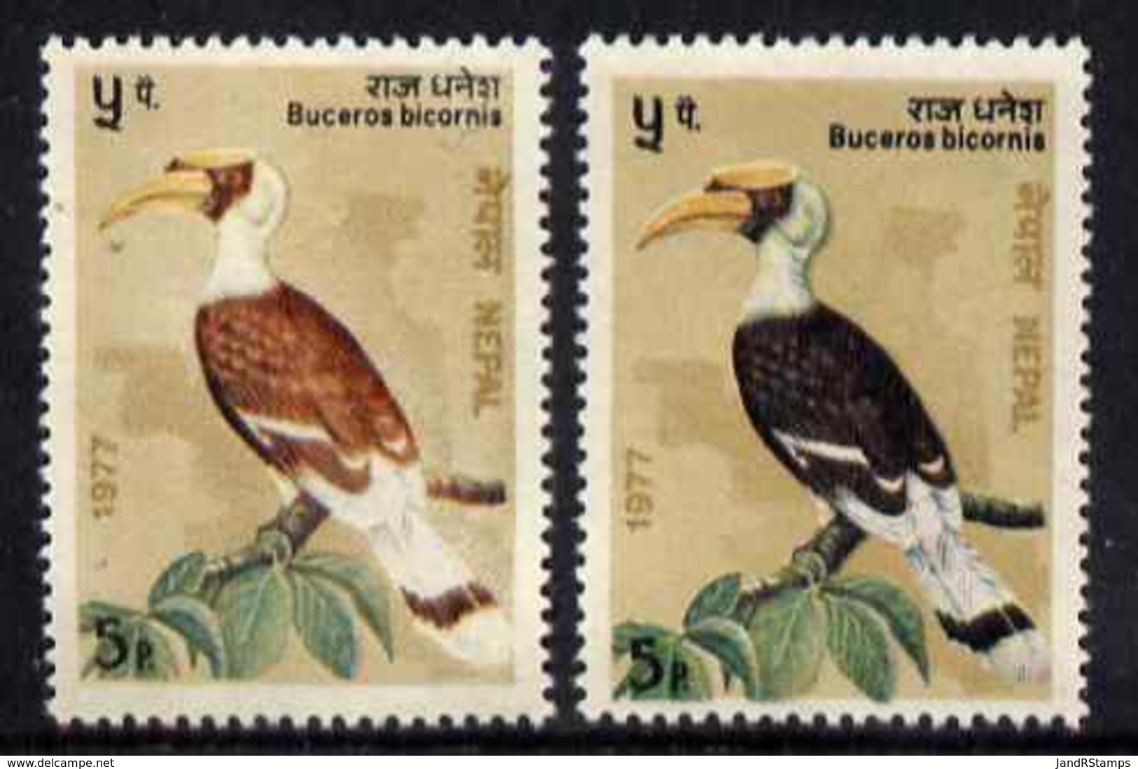 Nepal 1977 Birds 5p (Hornbill) With Dark Brown Colour Omitted (bird Has Pale Chestnut Feathers Instead Of Nearly Black) - Nepal