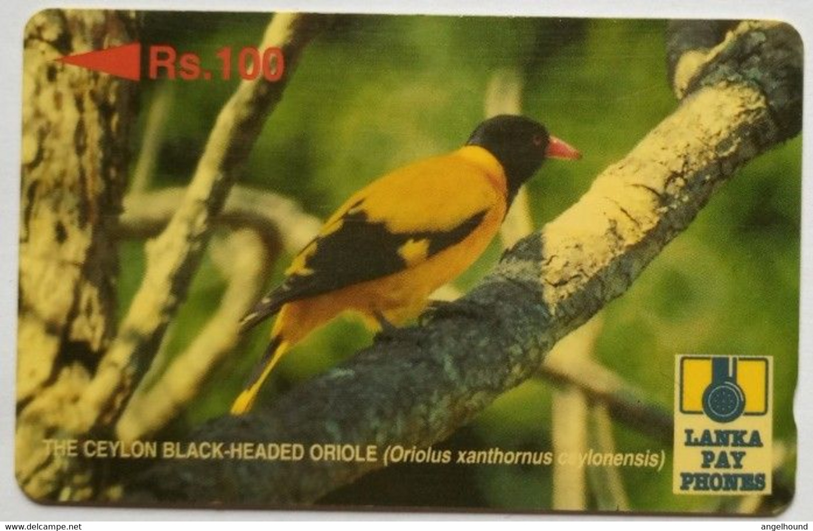 Sri Lanka 25SRLA Black Headed Oriole Rs100 - Sri Lanka (Ceylon)