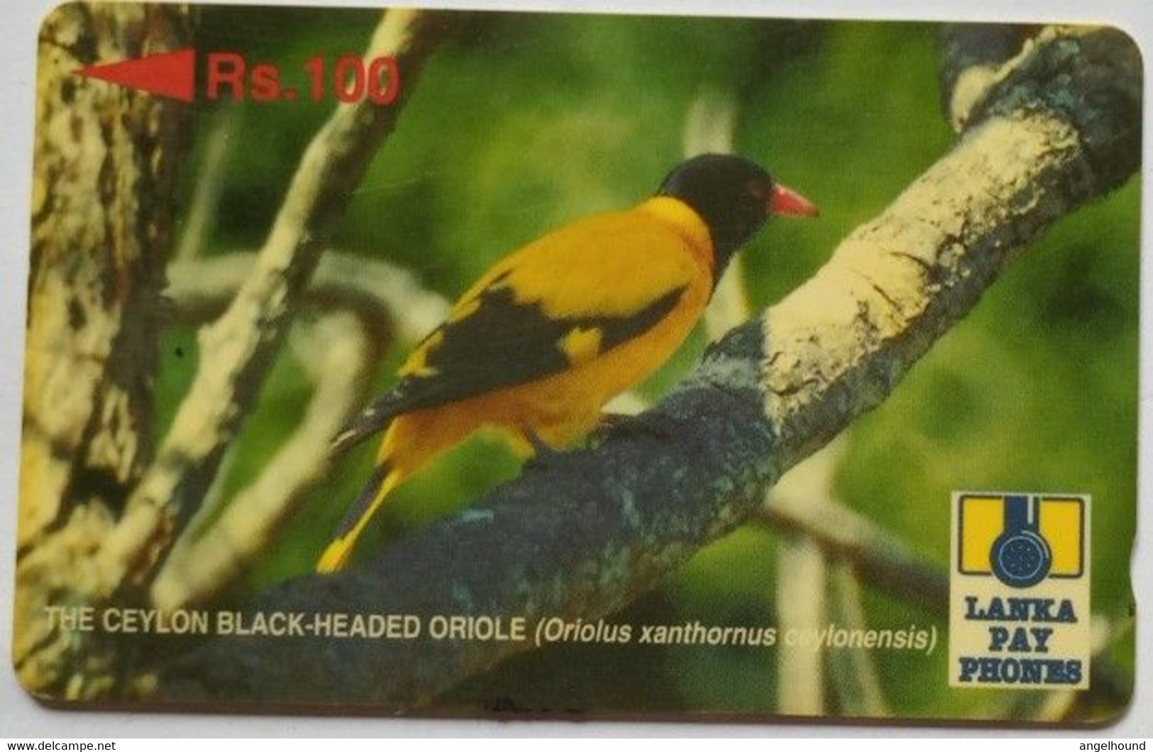 Sri Lanka 21SRLC Rs.100,Black Headed Oriole - Sri Lanka (Ceilán)