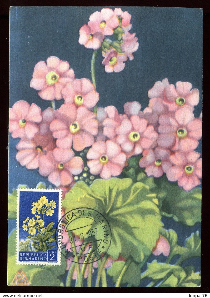 Saint Marin - Carte Maximum 1957 - Fleurs - O 205 - Storia Postale