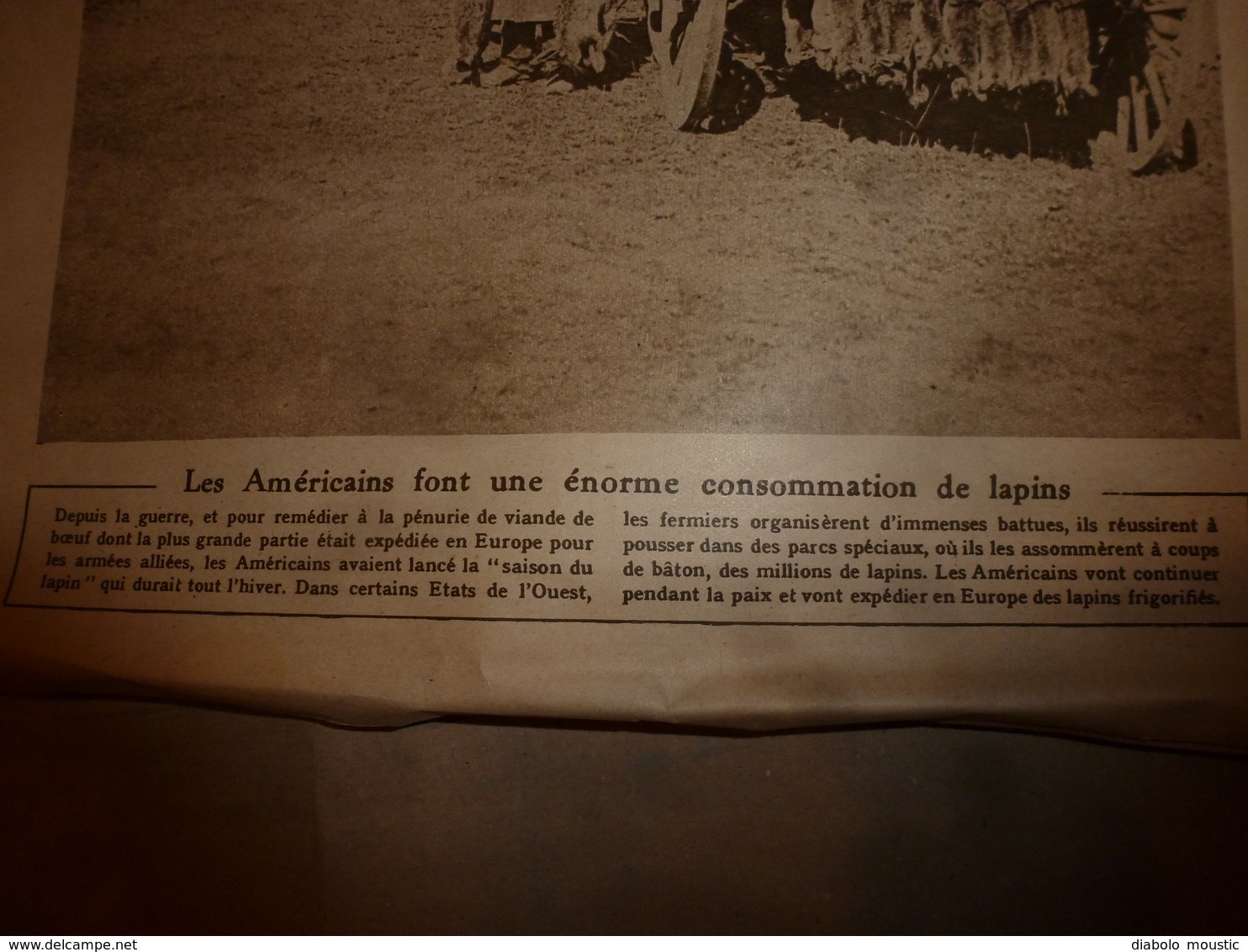 1919 LE MIROIR:Les Lapins Des US Soldiers;Belgique;Canada;Ourmiah (Kurdistan);Armée Assyriènne;Patricia De Connaught;etc - Français