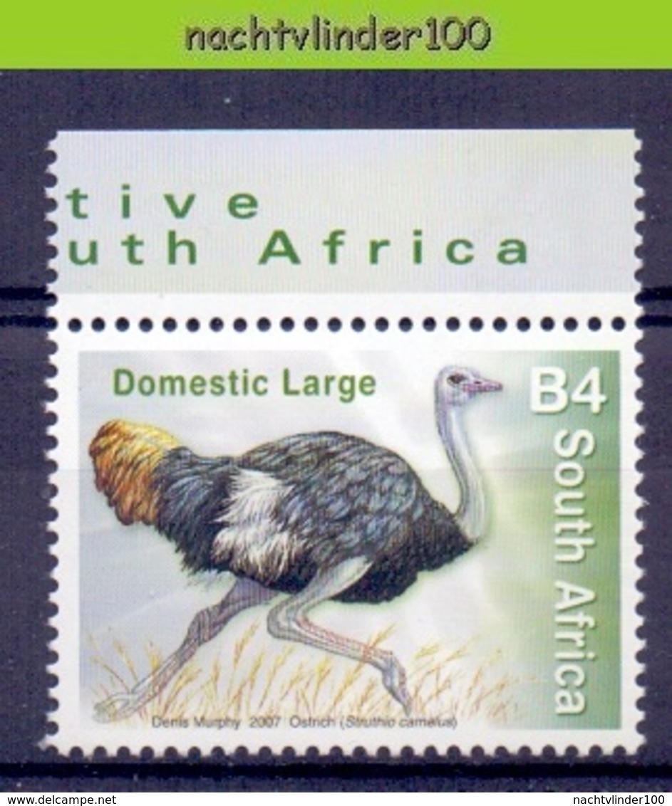 Nev078 FAUNA STRUISVOGELS BIRDS VÖGEL AVES OISEAUX SOUTH AFRICA 2007 PF/MNH - Autruches