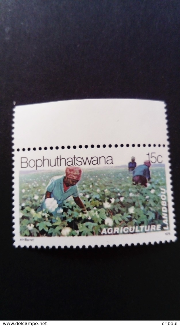 Bophuthatswana 1979 Agriculture Coton Cotton Yvert 52 ** MNH - Bophuthatswana