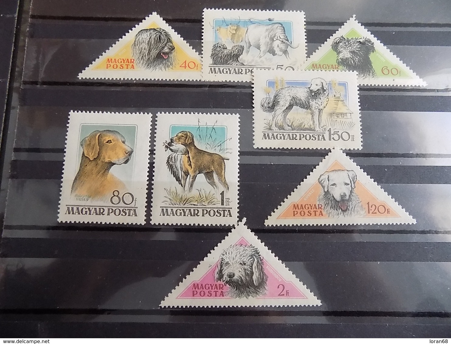 Série 8 Timbres Neuf Hongrie 1956 : Chiens Hongrois - Neufs