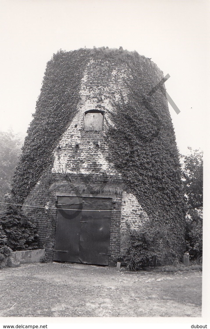 AARTRIJKE MOLEN / MOULIN -Originele Foto Jaren '70 ( A.Carre) 2 - Zedelgem