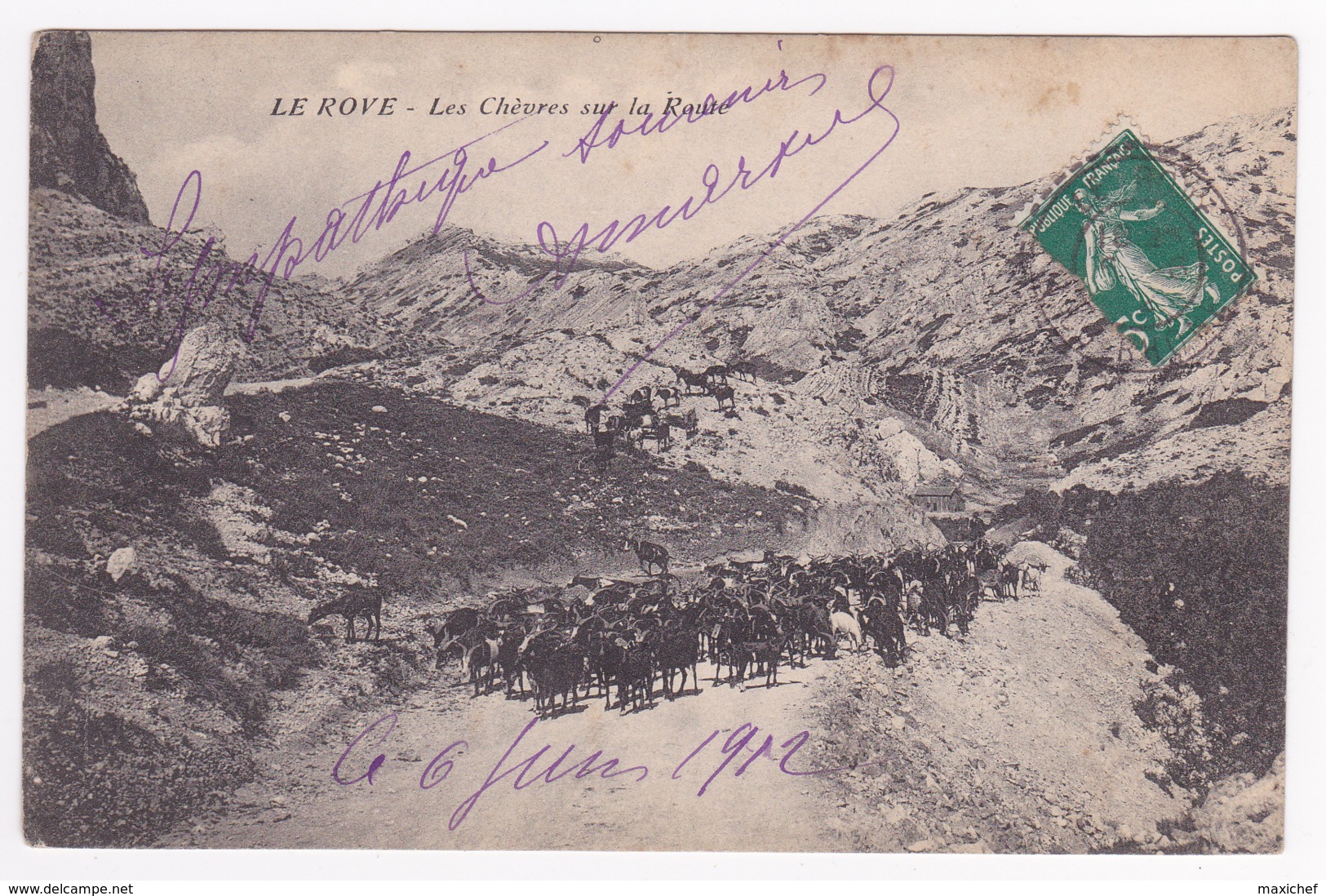 Le Rove - Les Chèvres Sur La Route (troupeau De Chèvres En Transhumance) Circulé 1912 - Altri & Non Classificati