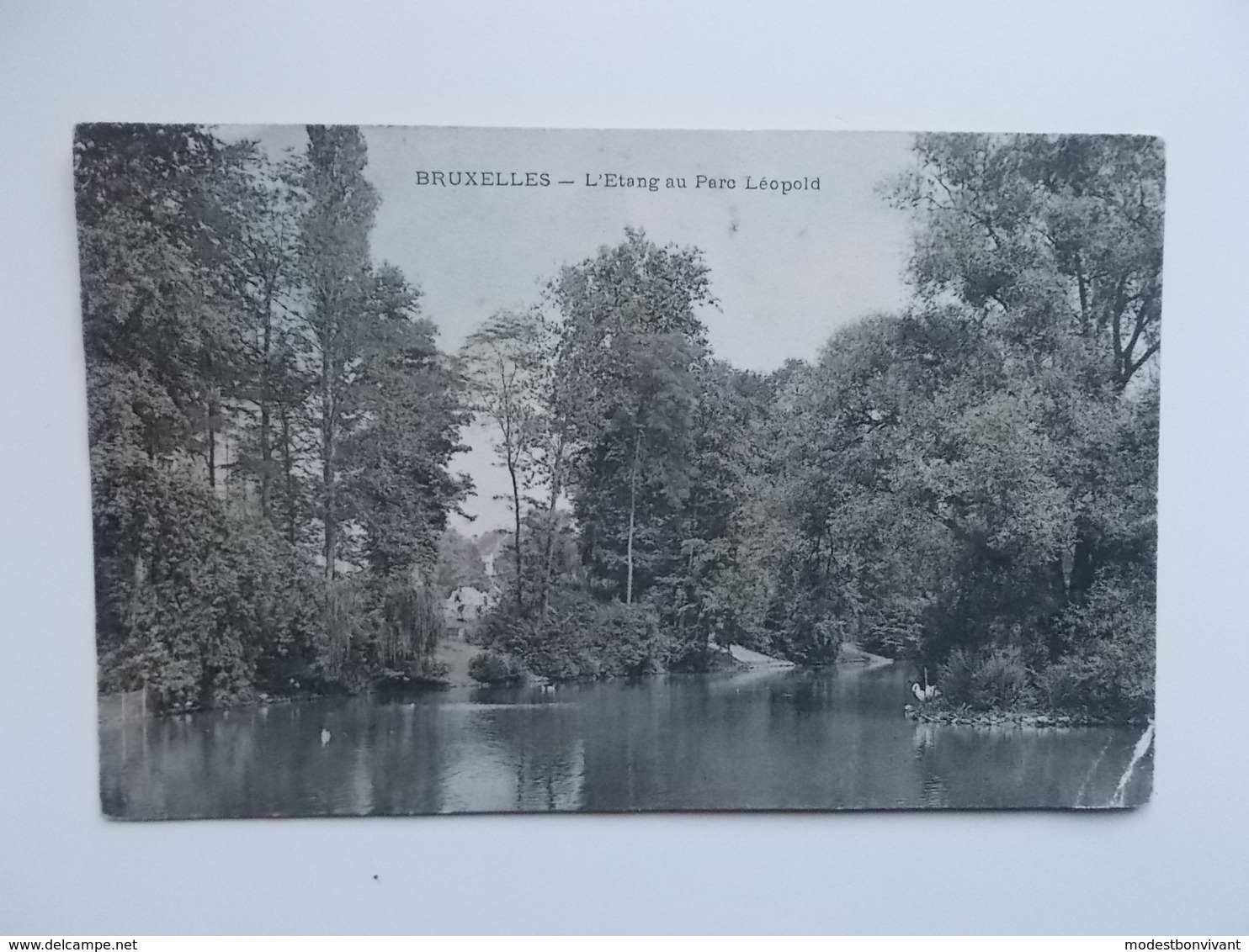 CPA - L'Etang Au Parc Léopold 1906 - Bossen, Parken, Tuinen