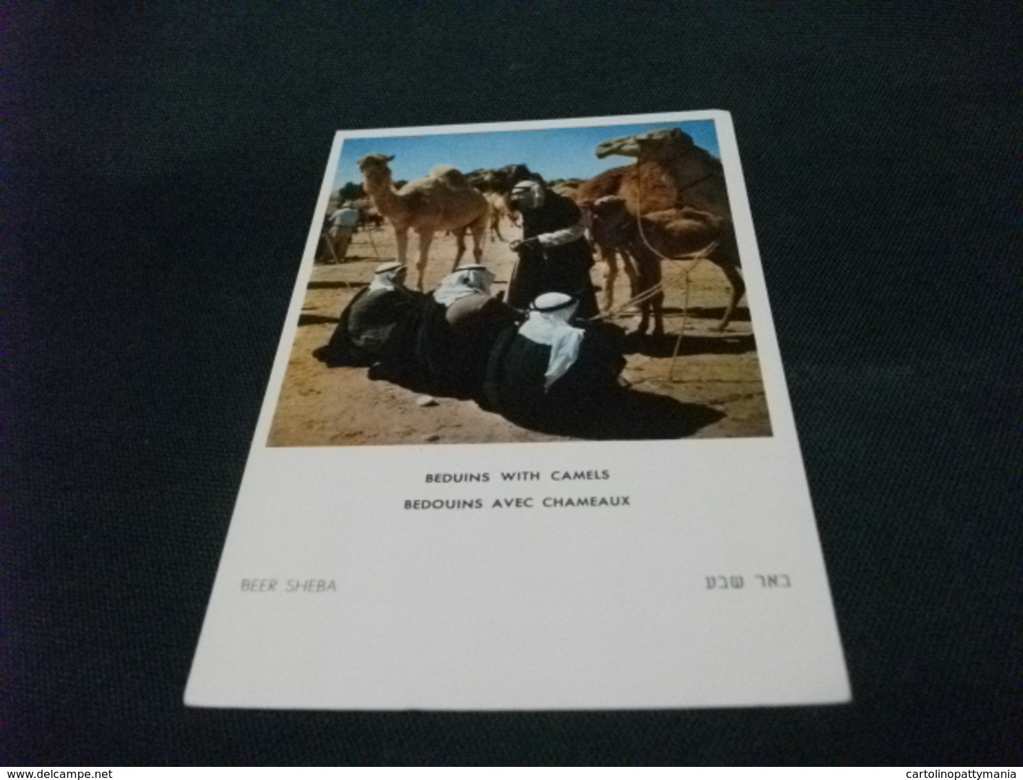 BEDUINS WITH CAMELS  BEDOUINS AVEC CHAMEAUX BEER SHEBA ISRAEL - Costumi