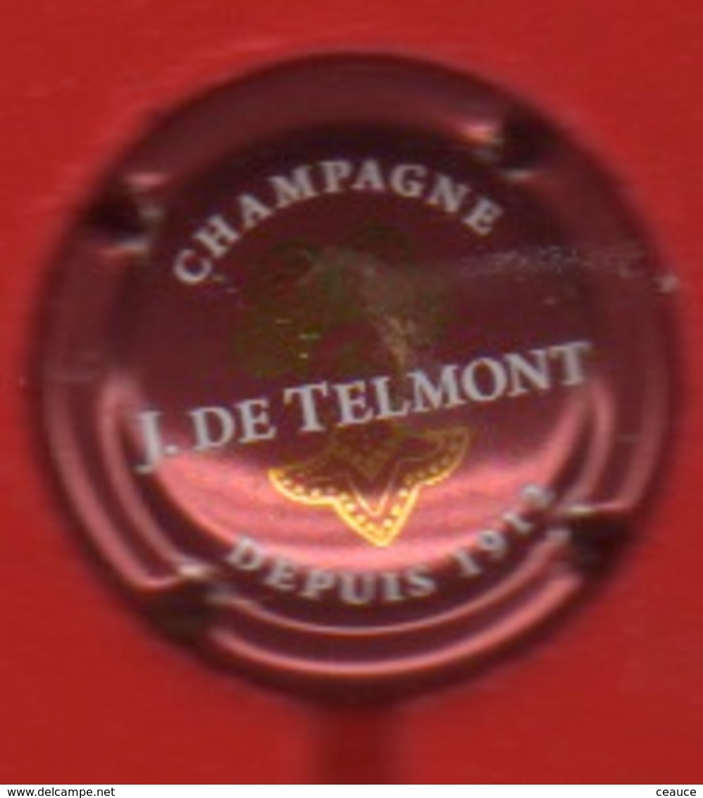 CHAMPAGNE " TELMONT DE J 5" (1) - Autres & Non Classés