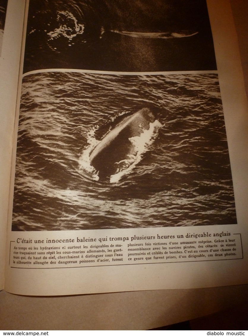 1919 LE MIROIR:Pendant signature du traité à Paris ,Francfort-sur-le-M encerclé;Une brave baleine trompe les anglais;etc