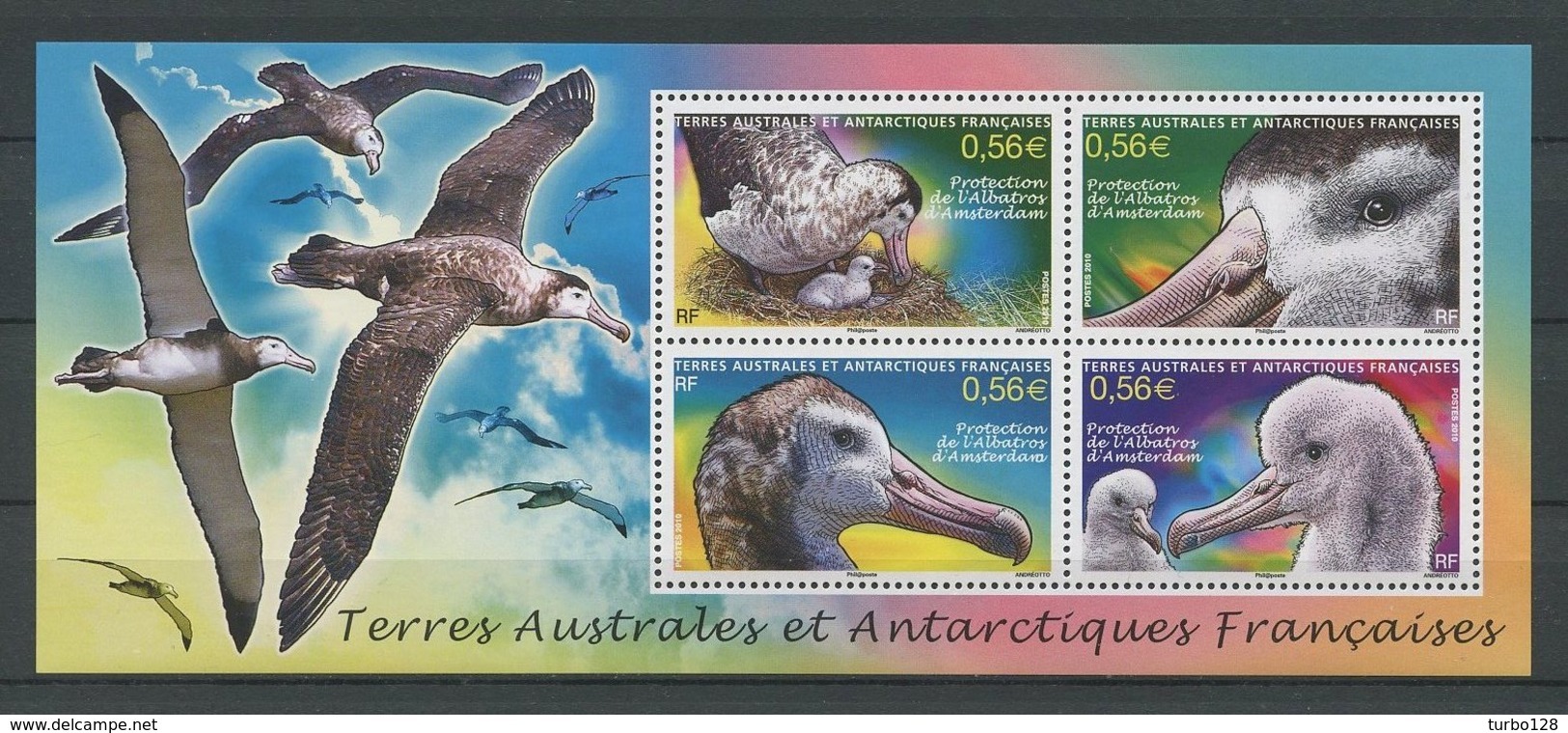 TAAF 2010 Bloc  N° 24 ** Neuf MNH Superbe C 8,80 € Animaux Oiseaux Birds Albatros Animals Faune - Blocchi & Foglietti