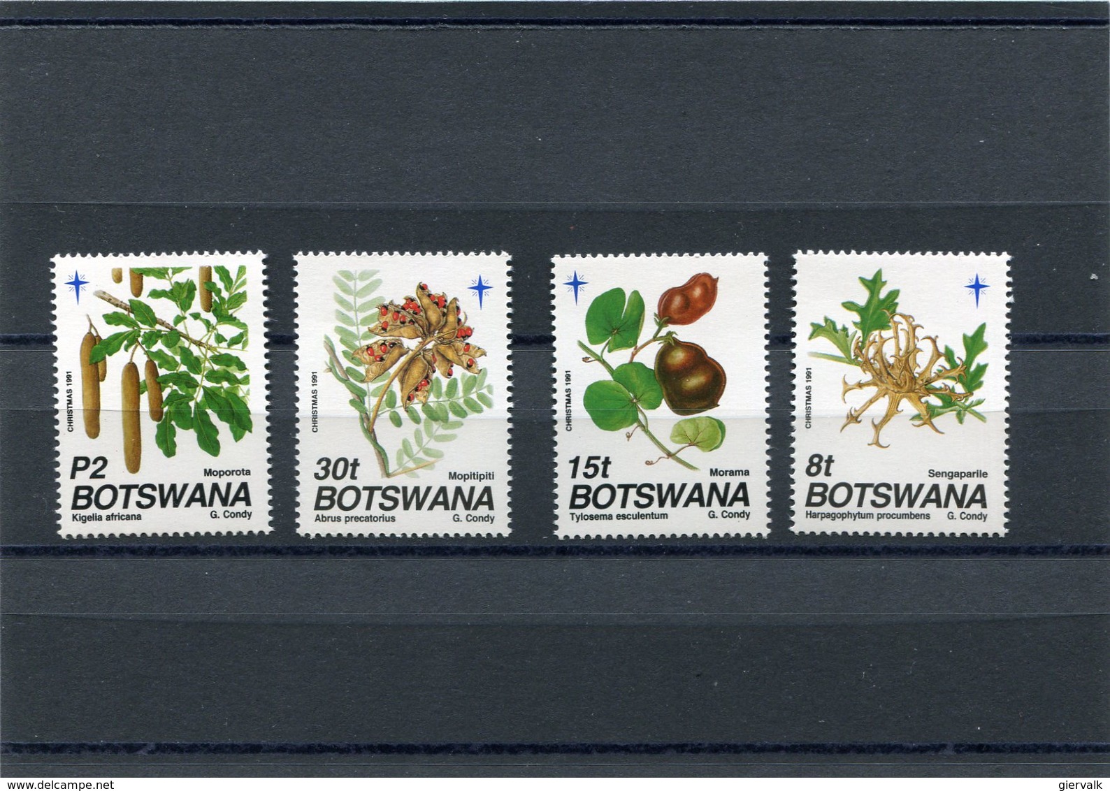 BOTSWANA 1991 FRUIT M.501/504 MNH. - Botswana (1966-...)
