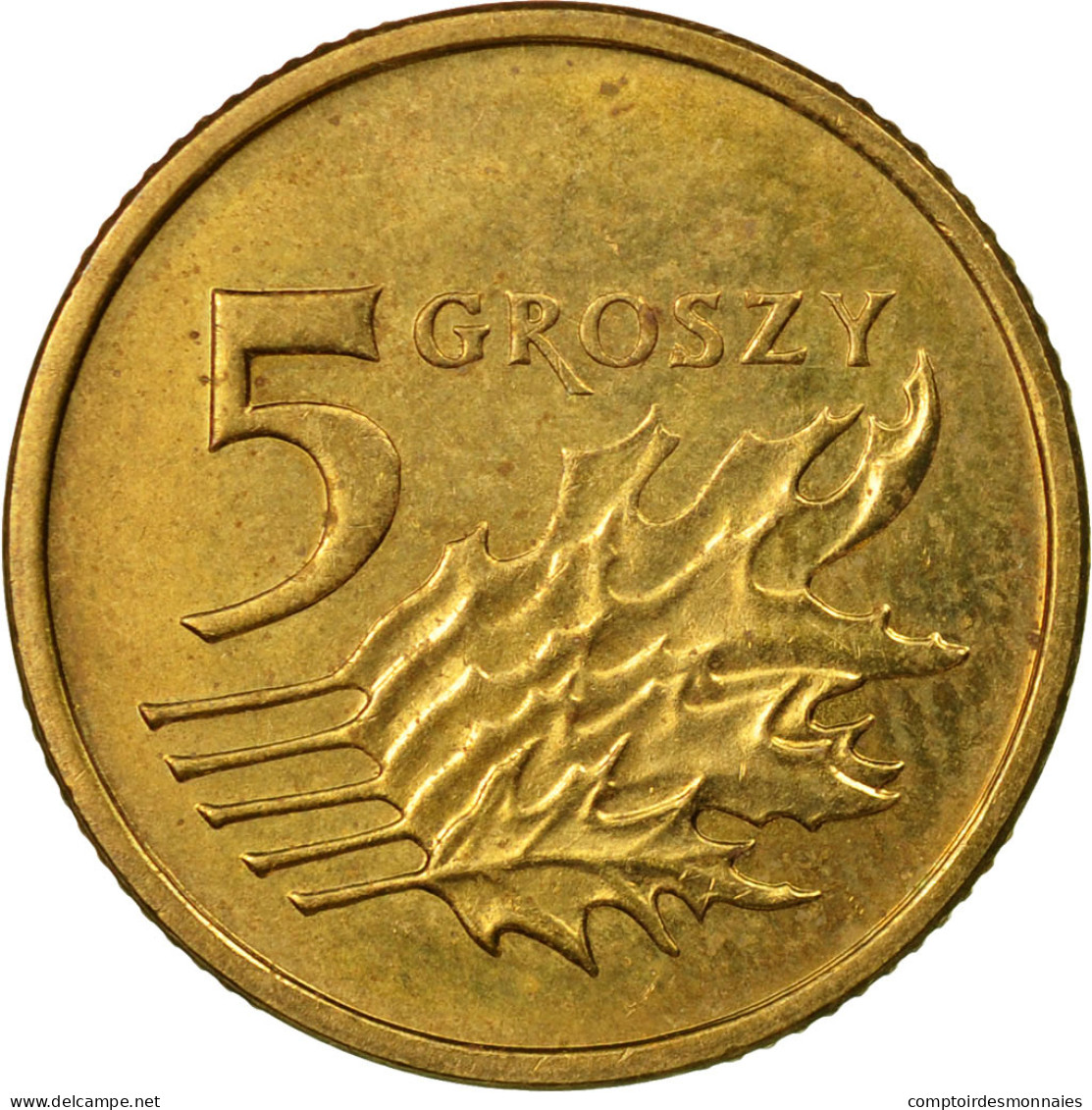 Monnaie, Pologne, 5 Groszy, 2003, Warsaw, TTB, Laiton, KM:278 - Pologne