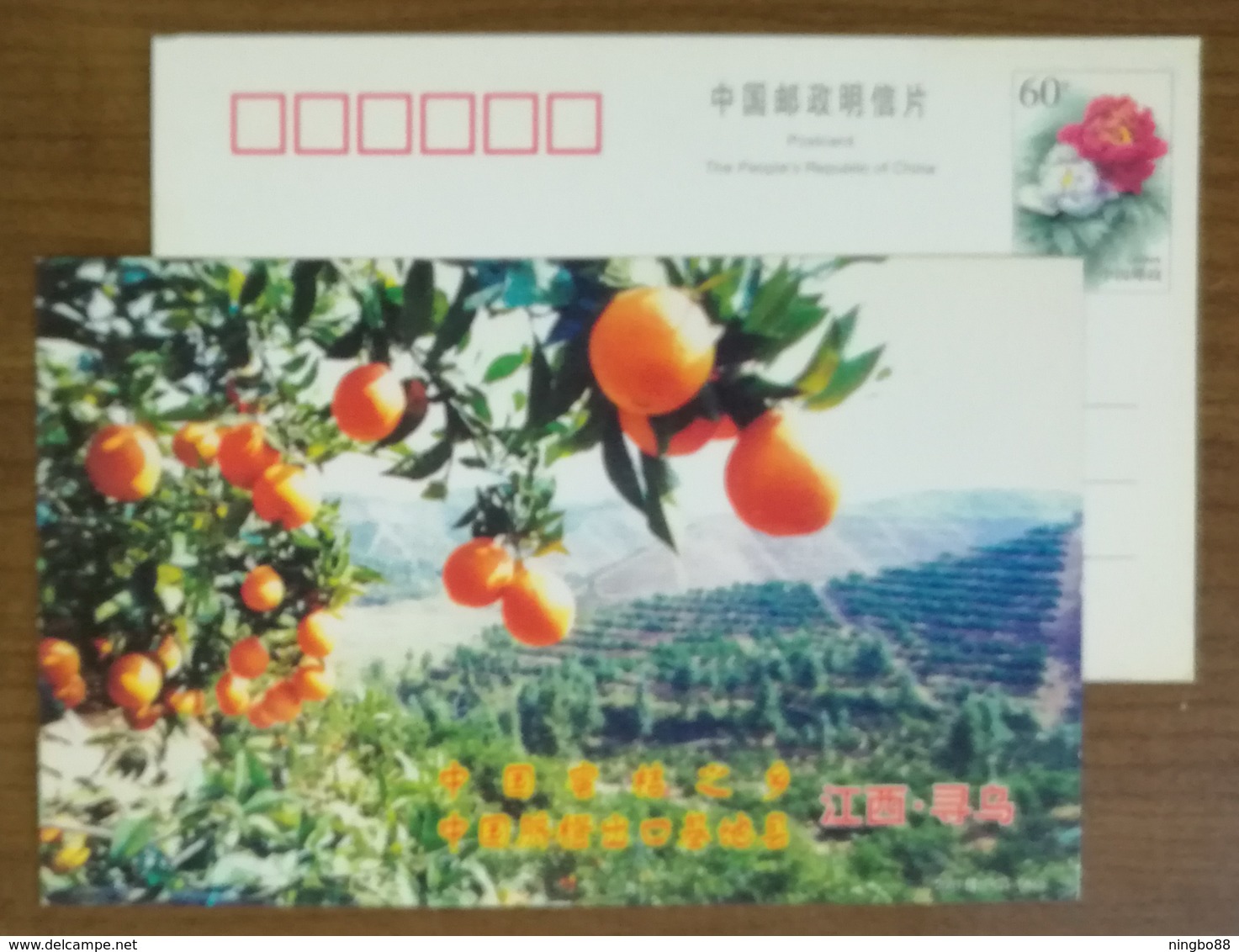 Hometown Of Sweet Citrus,China 2001 Xunwu The Expert Base County Of Navel Orange Advertising Pre-stamped Card - Fruits