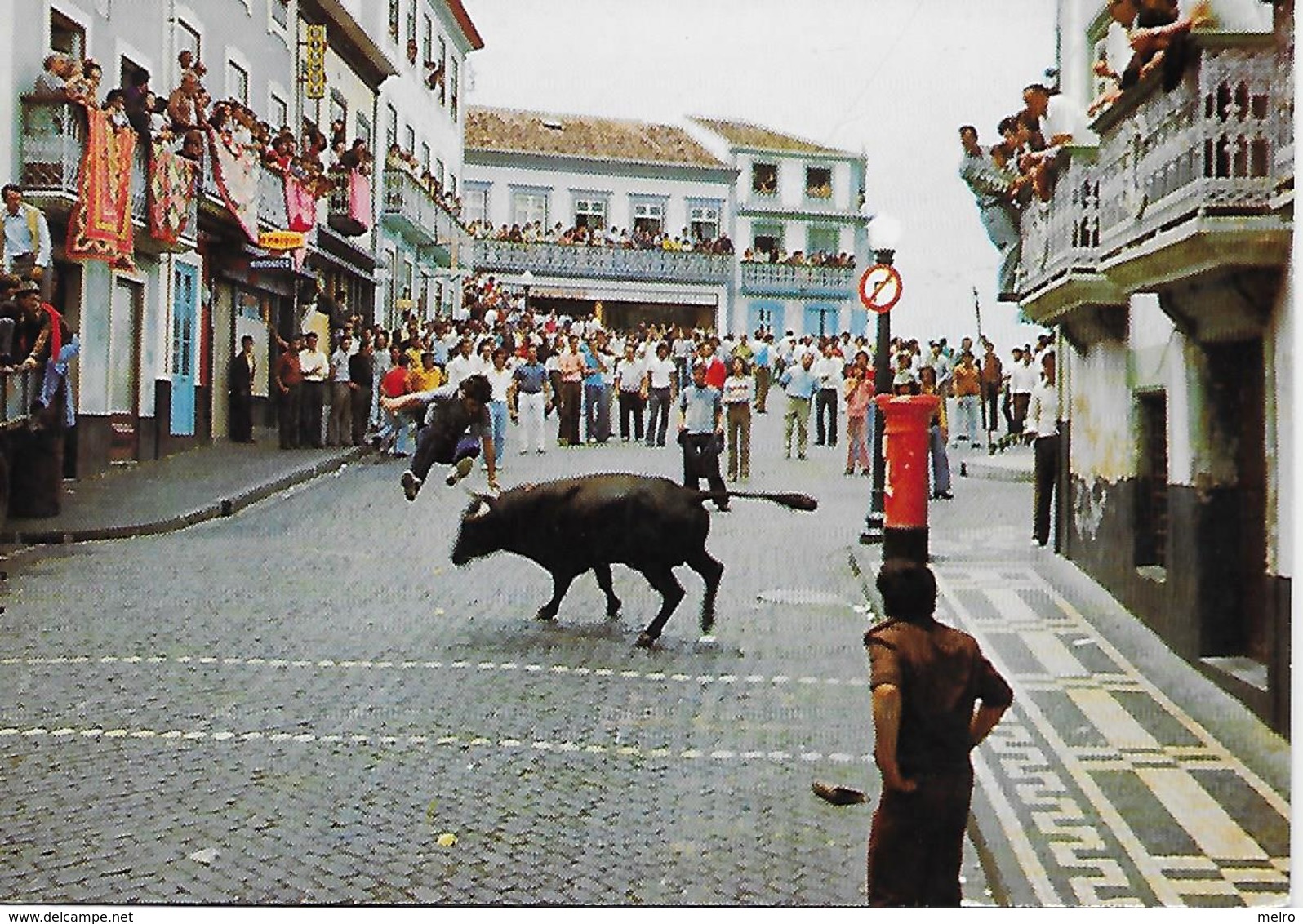 PORTUGAL- Ilha Terceira - Espera De Touros. - Açores