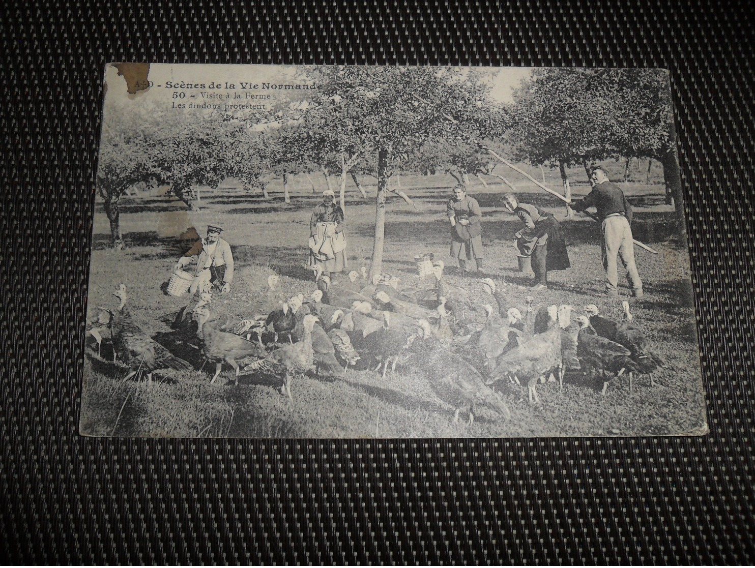 Très beau lot de 60 cartes postales de France toutes animées   Zeer mooi lot van 60 postkaarten van Frankrijk - 60 scans