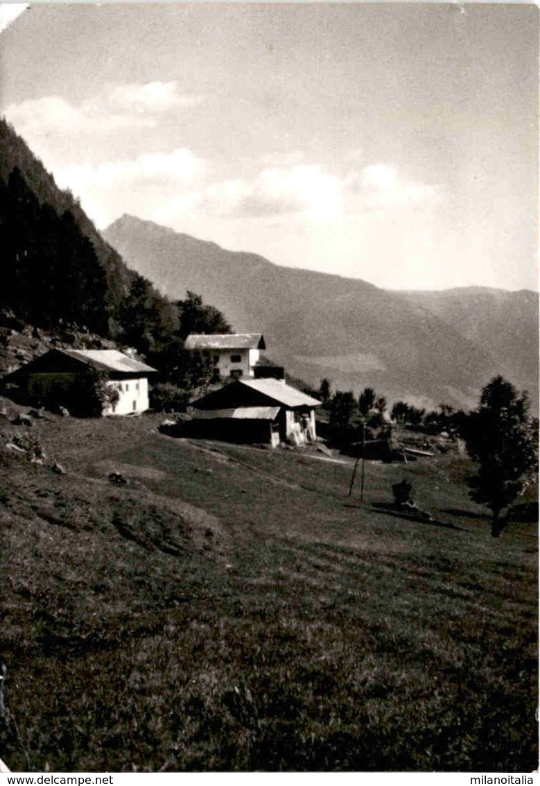 Gasthof Longvallhof - Lungavalle Bei Dorf Tirol * 29. IV. 1963 - Sonstige & Ohne Zuordnung