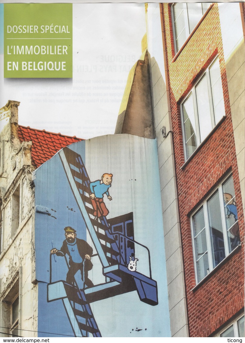 BD TINTIN, MILOU, CAPITAINE HADDOCK - PUBLICITE L IMMOBILIER EN BELGIQUE - VOIR LE SCANNER - Tintin