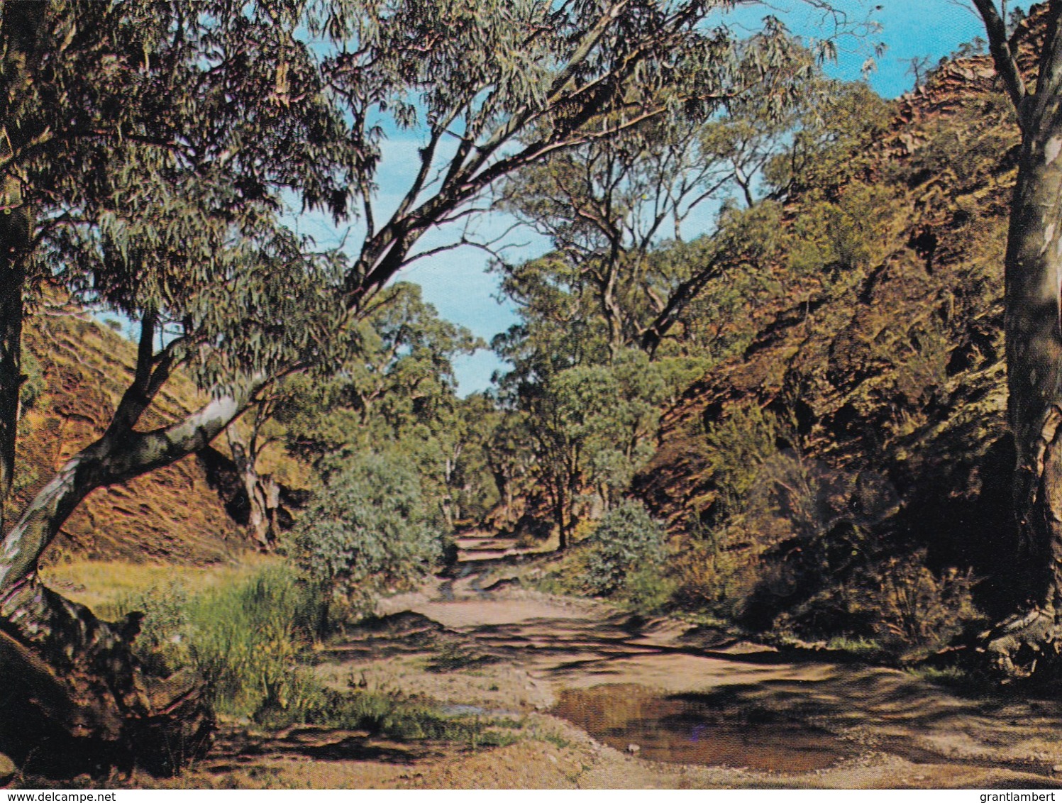 Road Through Bunyeroo Gorge, Flinders Ranges, South Australia - Unused - Flinders Ranges