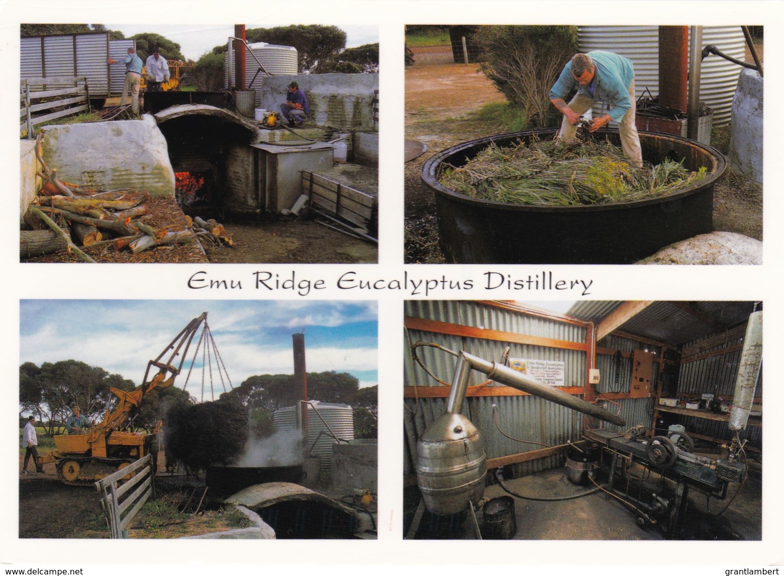 Emu Ridge Eucalyptus Distillery, Kangaroo Island, South Australia - Posted 2007 With Stamp - Kangaroo Islands