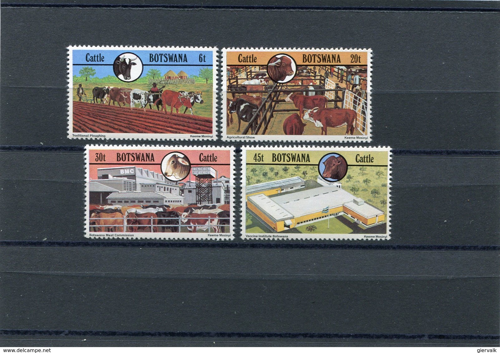 BOTSWANA 1981 CATTLE M.283/286 MNH. - Botswana (1966-...)