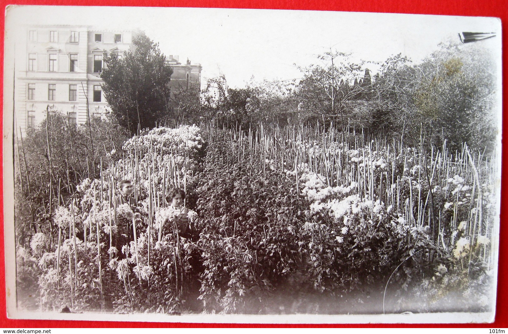 CROATIA - HRVATSKA ,RIJEKA - FIUME , VRT - GARDEN , ORIGINAL FOTO - Kroatien