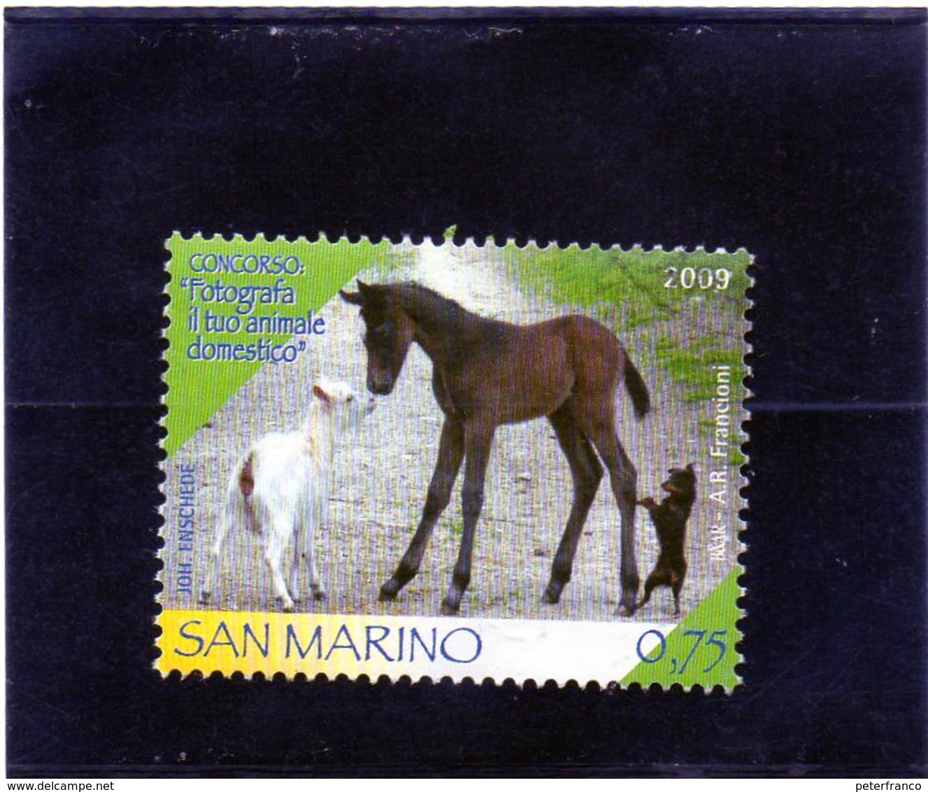 2009 San Marino - Concorso "Fotografa Il Tuo Animale Preferito" - Gebruikt