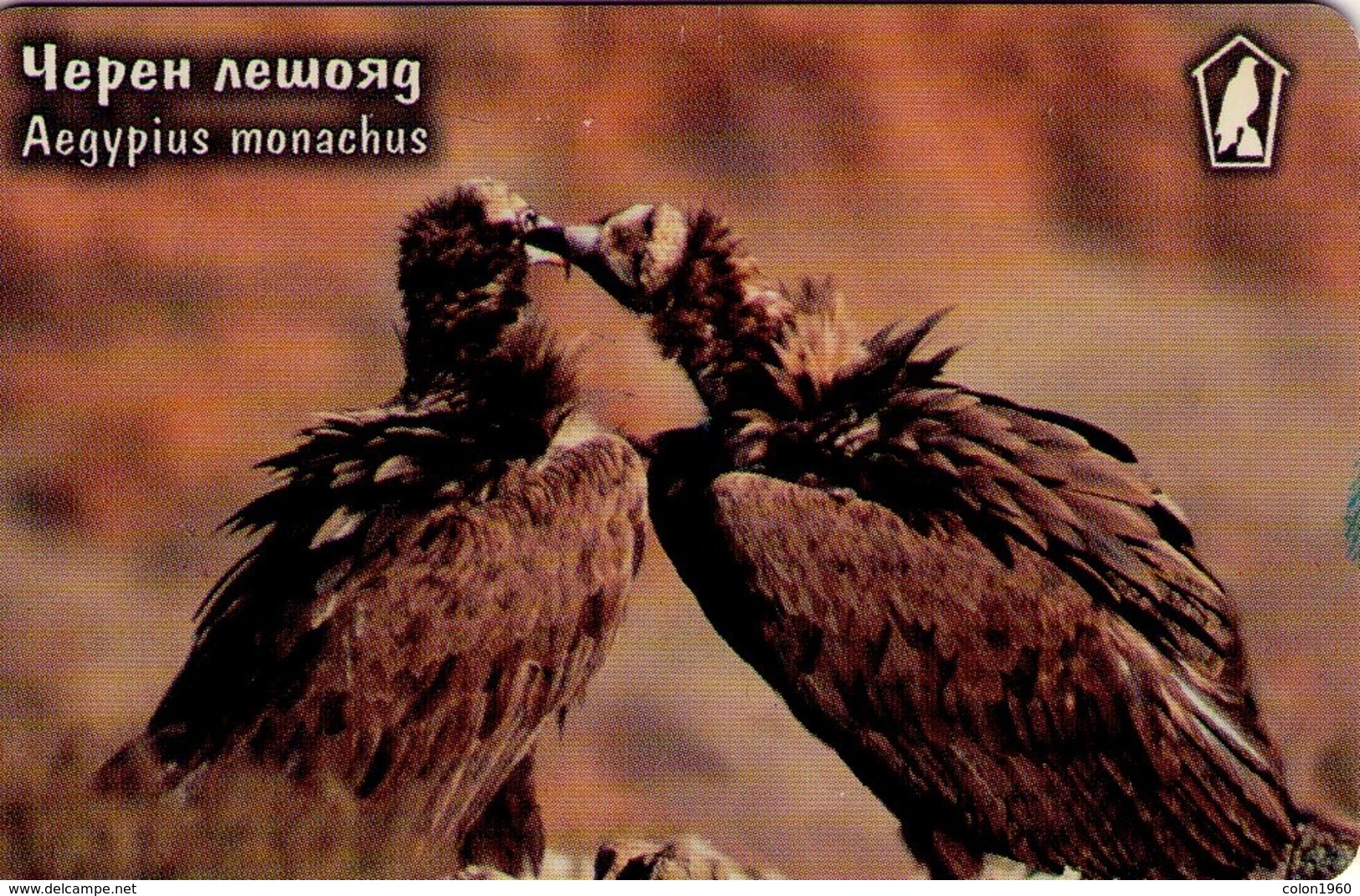 TARJETA TELEFONICA DE BULGARIA (FAUNA), Aegypius Monachus, BUITRE NEGRO, MOB-P-0034. (014) - Eagles & Birds Of Prey