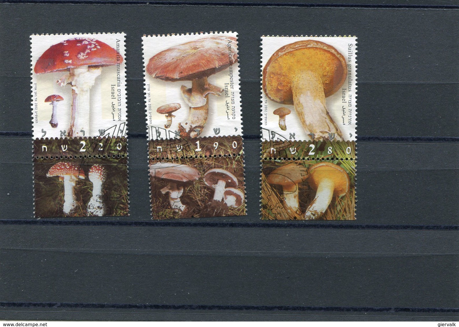 ISRAEL 2002.MUSHROOMS M.1675/77 CTO. - Usati (con Tab)