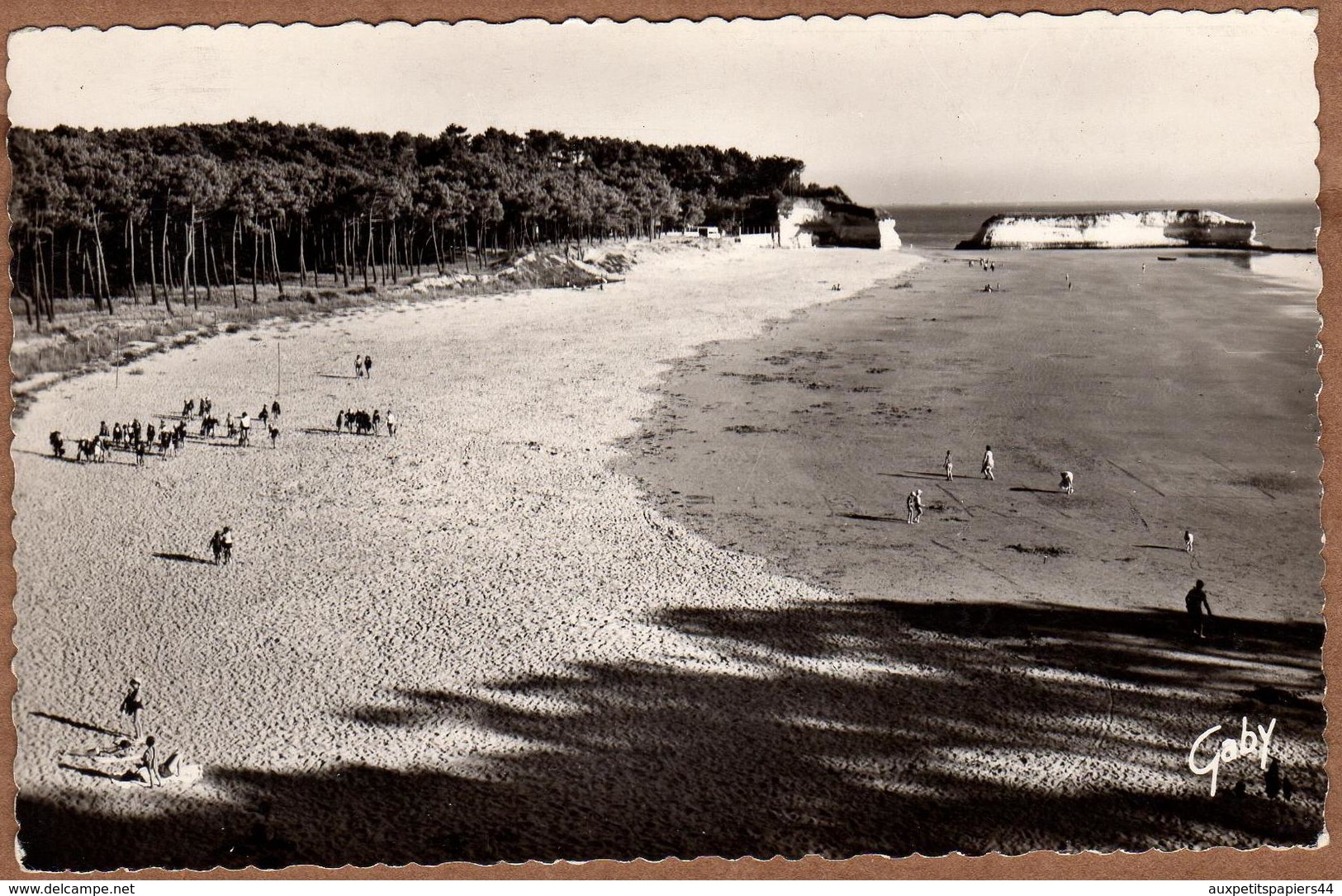 CPSM 314 - Meschers - La Plage Et Ses Promeneurs à Marée Basse - Gaby - 1960 - Meschers