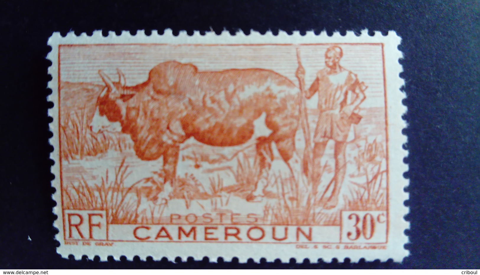 Cameroun Cameroon 1946 Animal Boeuf Buffalo Yvert 277 ** MNH - Neufs