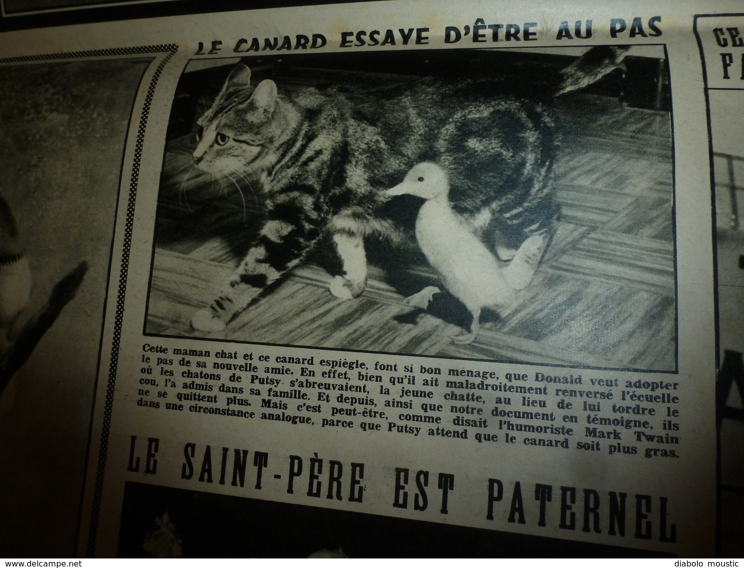 1952 RADAR:Homme Contre Requin à Beg-Meil;Saïgon;Guerre-Corée;Eva Peron;Coppi,Robic;Enfant Enchainé à Camden;Toulouse;et - 1950 - Heute