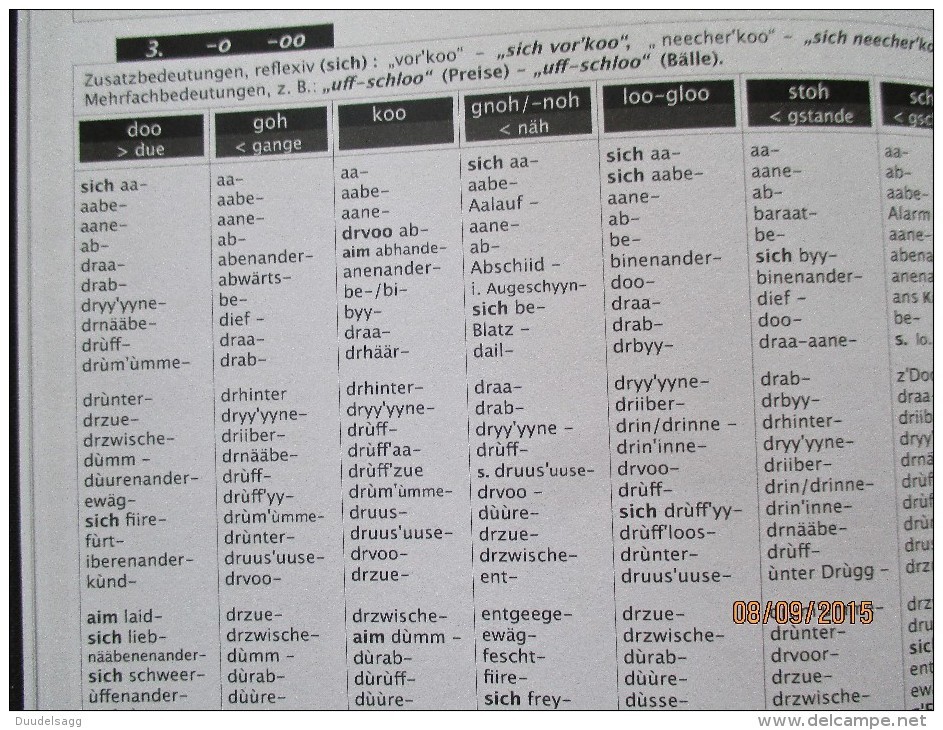 BASEL,  30`000 Stichwörter, Das Original-Baseldytsch-Reim-Wörterbuch - Dictionnaires