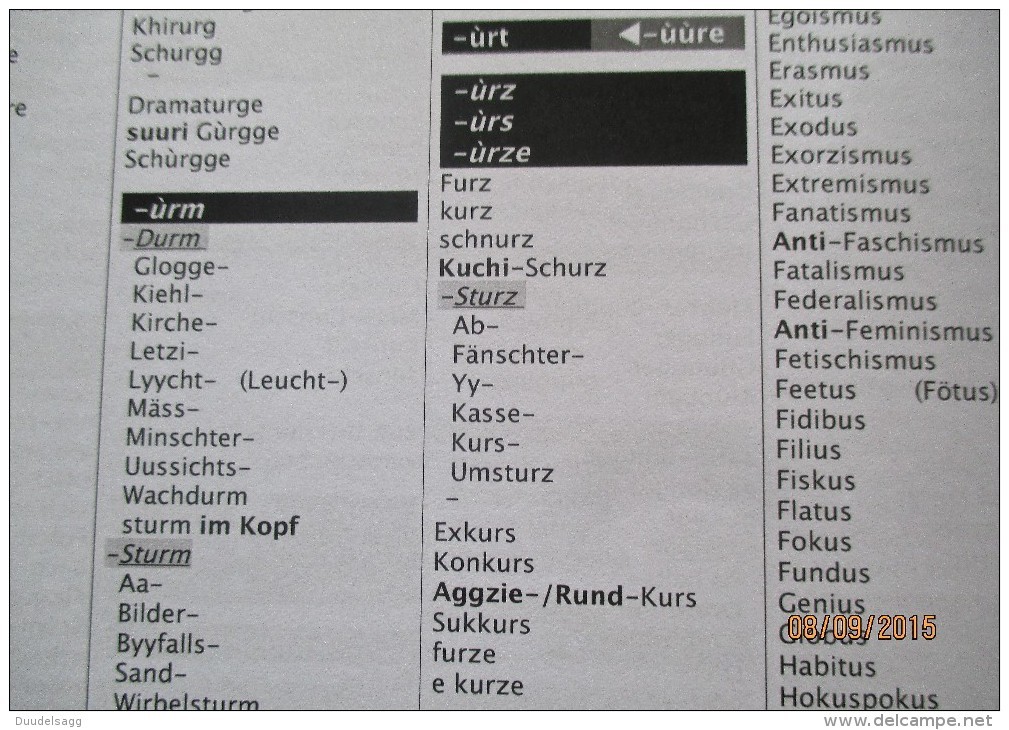 BASEL,  30`000 Stichwörter, Das Original-Baseldytsch-Reim-Wörterbuch - Dictionnaires