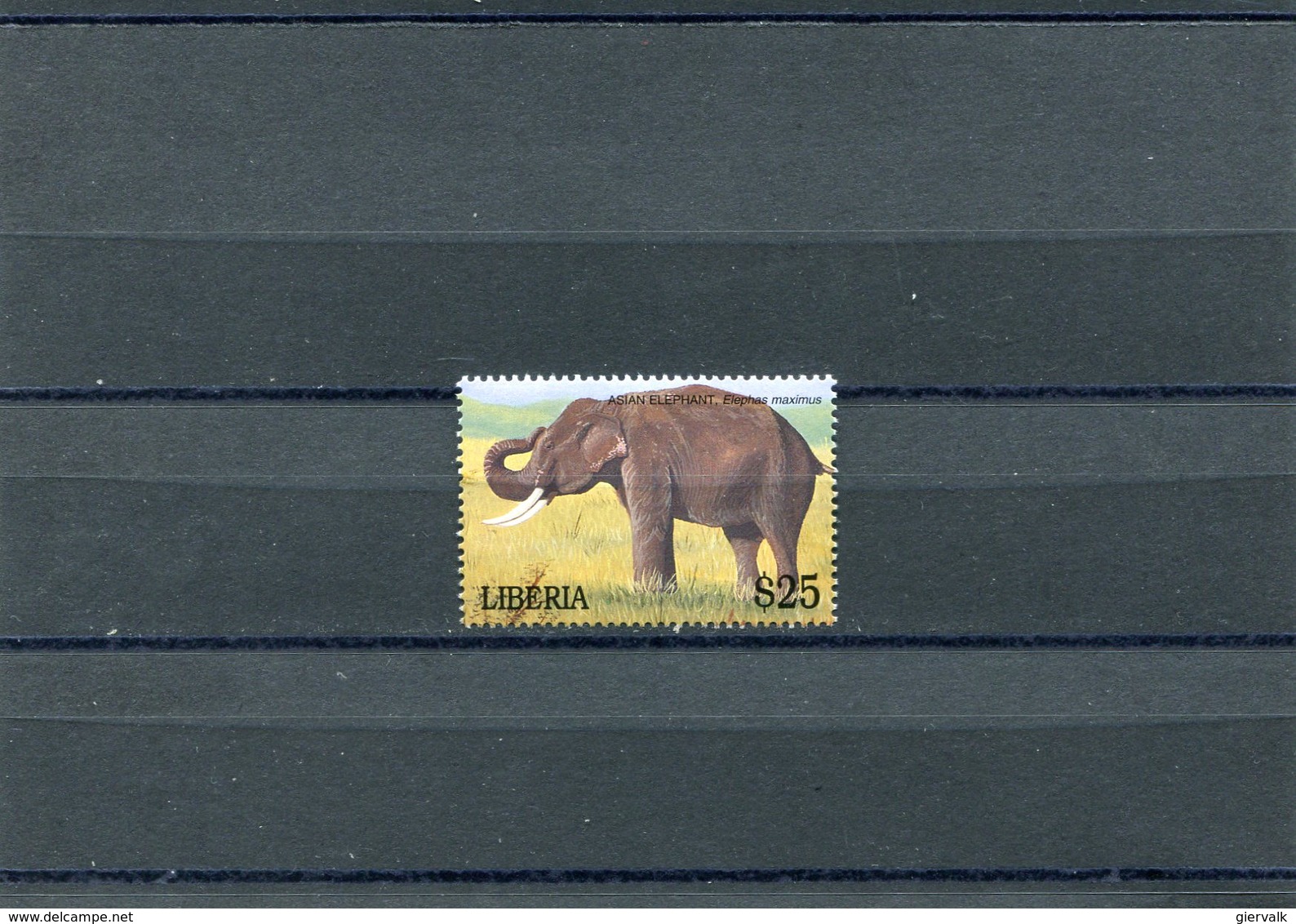 LIBERIA ELEPHANT.MNH. - Elefantes