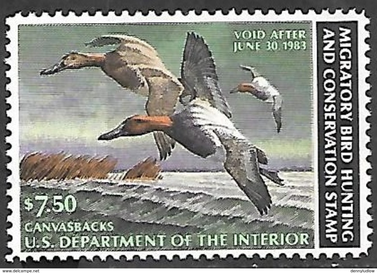 US 1982   RW49  $7.50   Ruddy Ducks  Conservation Stamp  MNH   2016 Scott Value $16 - Ducks