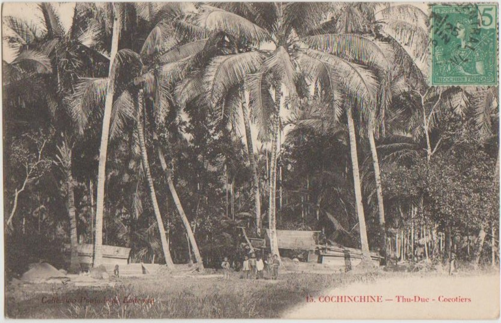 CPA VIETNAM INDOCHINE COCHINCHINE THU DUC Cocotiers 1909 - Vietnam